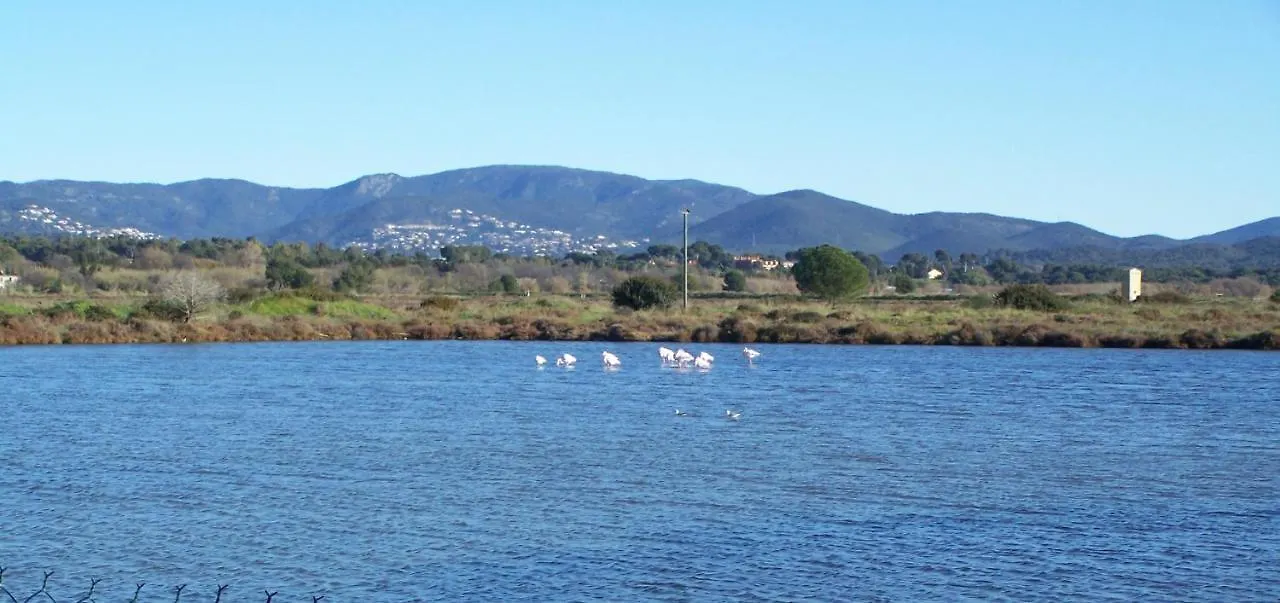 Appartement Plage et soleil Les Salins d'Hyeres